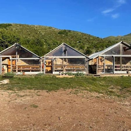 Camping Cajupi Gjirokaster Luaran gambar